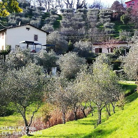 Tenuta Degli Obizzi Montecarlo Exterior foto